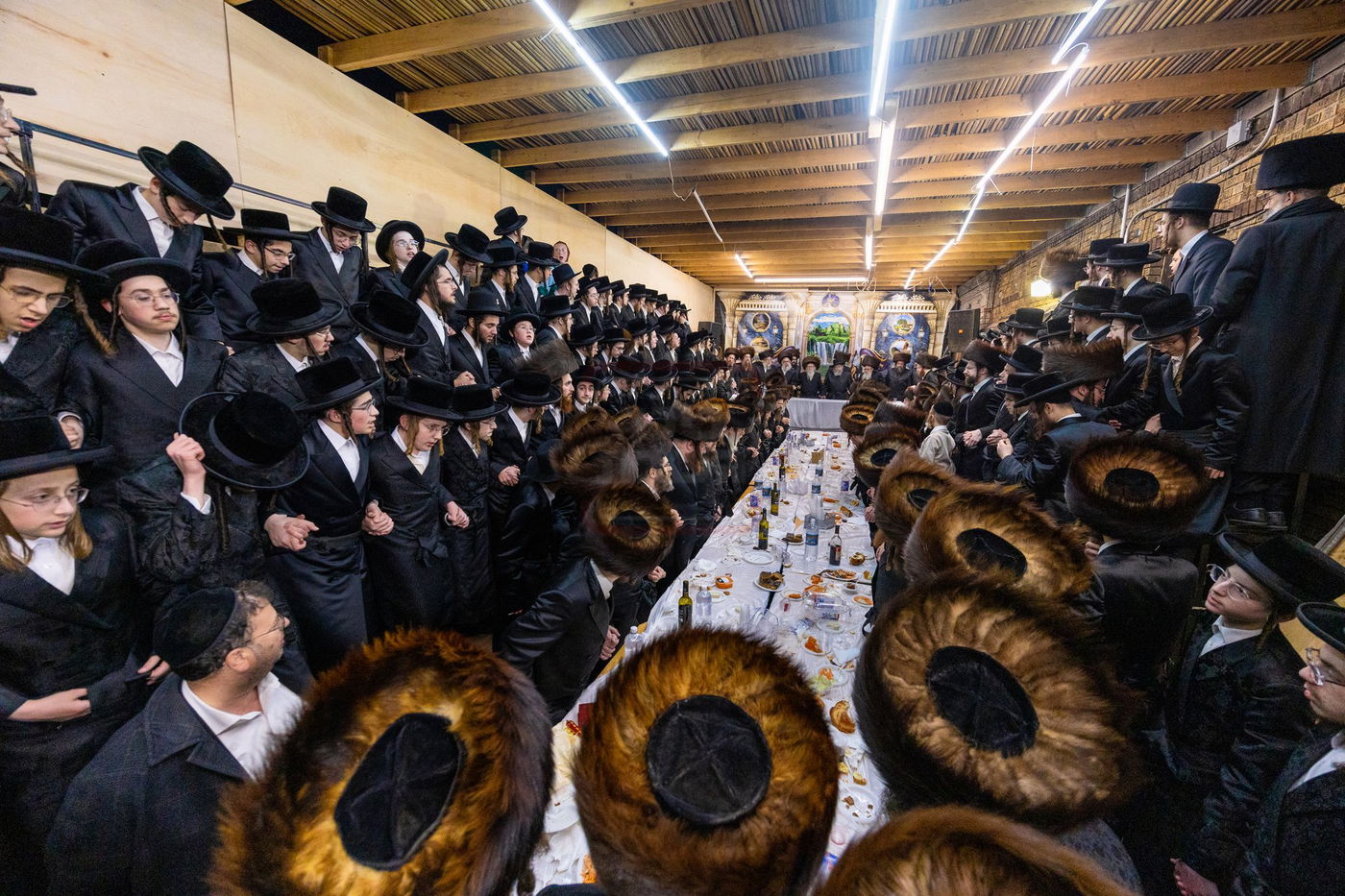 חג הסוכות בצל האדמו"ר מסערדאהעלי 