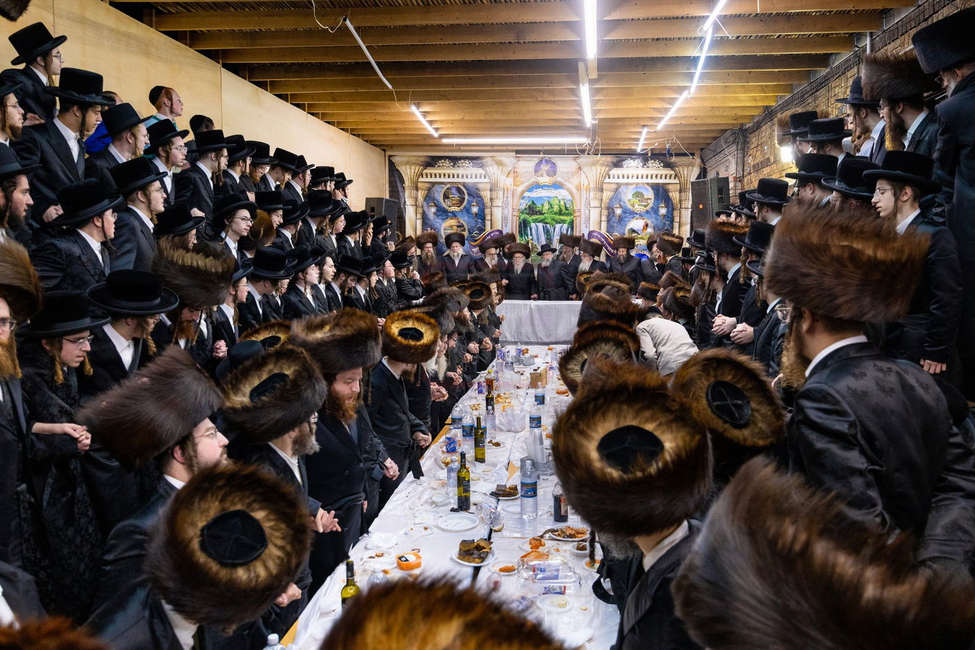 חג הסוכות בצל האדמו"ר מסערדאהעלי 