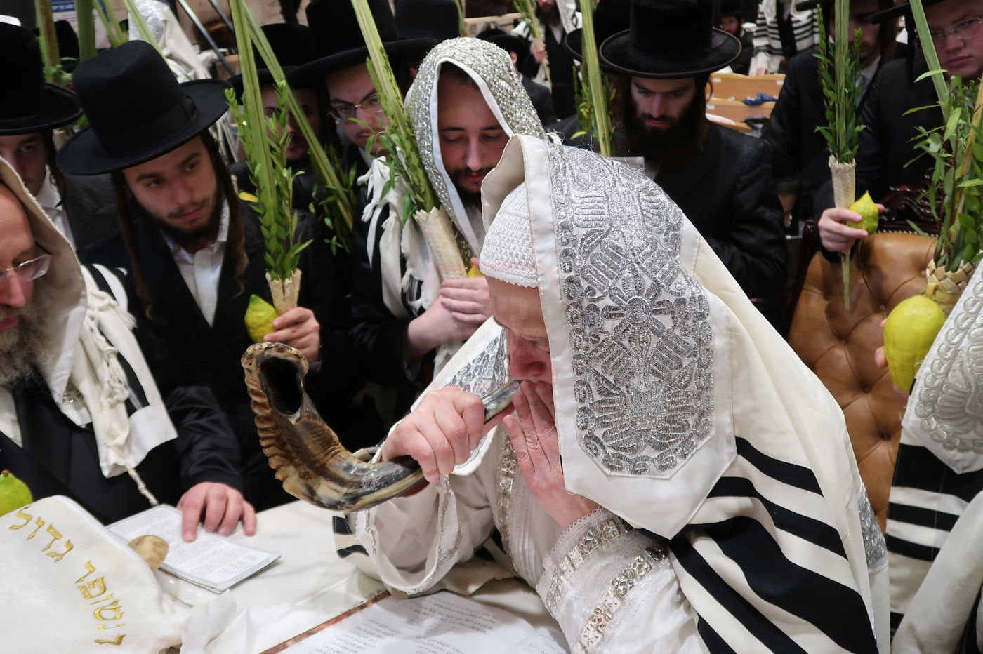 הושענא רבה בחצה"ק מונקאטש