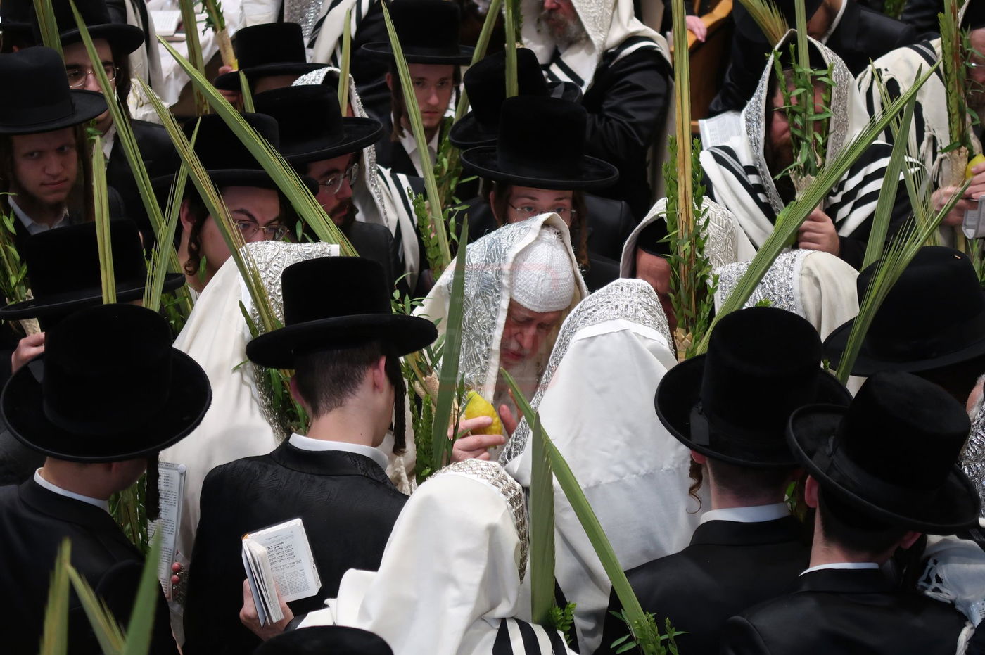 הושענא רבה בחצה"ק מונקאטש