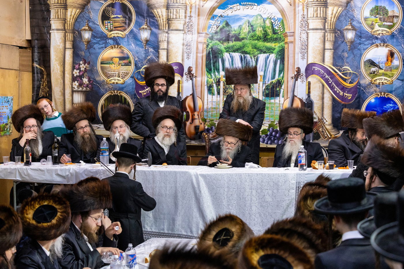 חג הסוכות בצל האדמו"ר מסערדאהעלי 