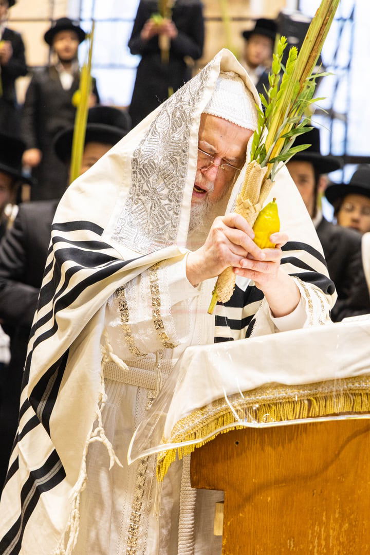 הושענא רבה בחצה"ק מונקאטש