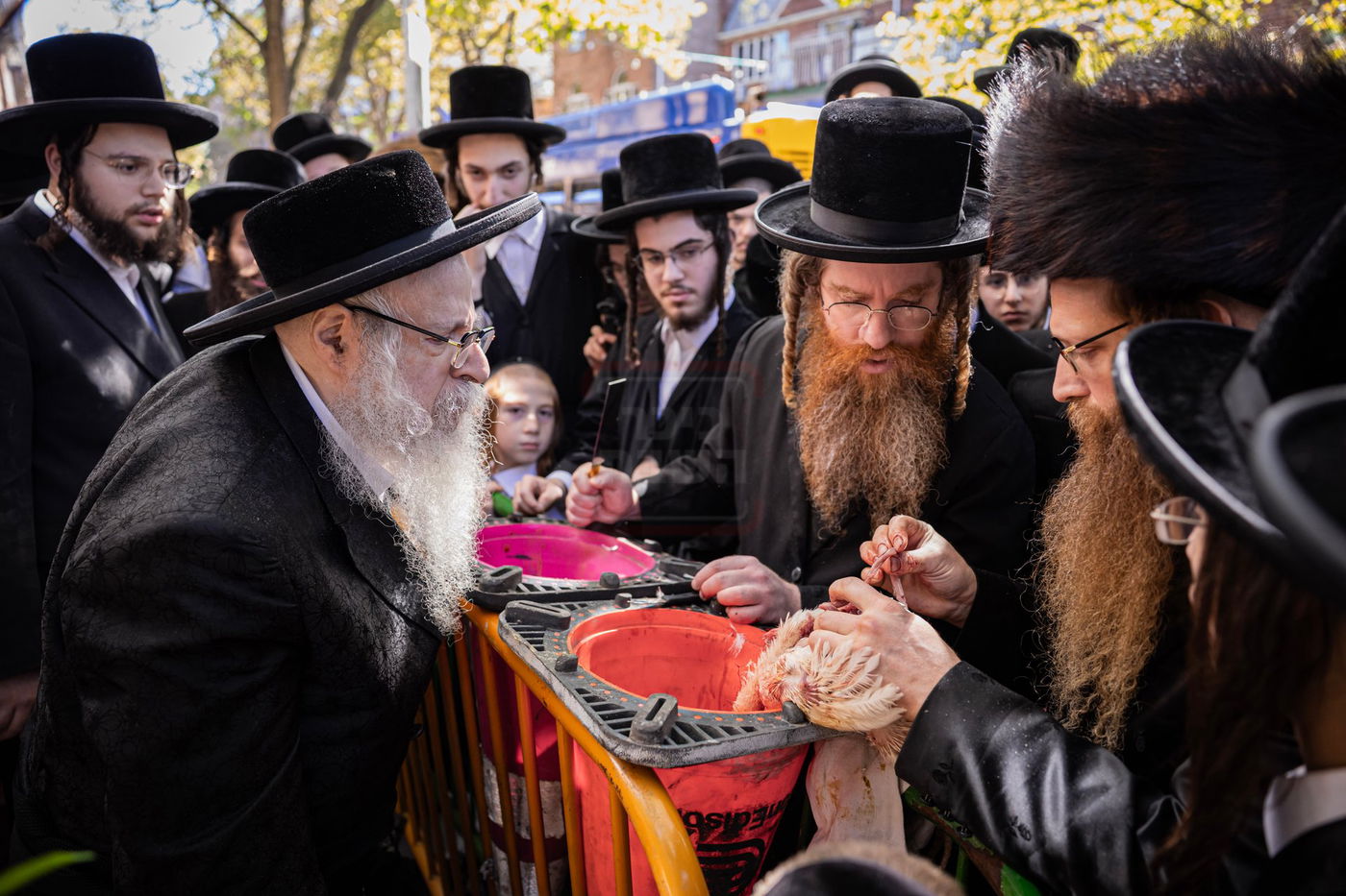 האדמו"ר מצאנז קלויזנבורג במנהג כפרות