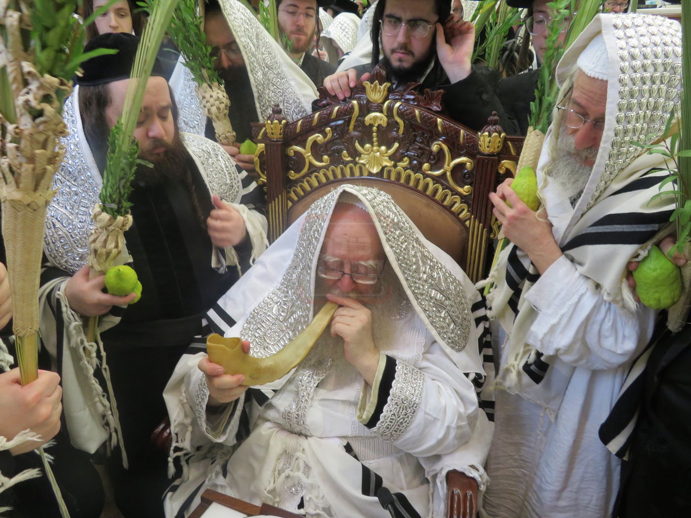 ירח האיתנים בחצה"ק ניקלשבורג