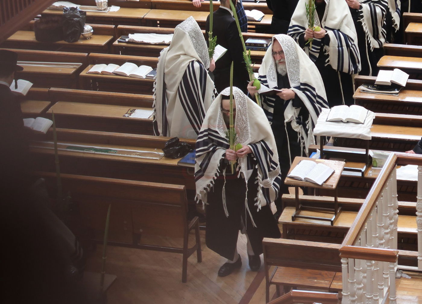 שמחת בית השואבה ונענועים בחצה''ק פאפא