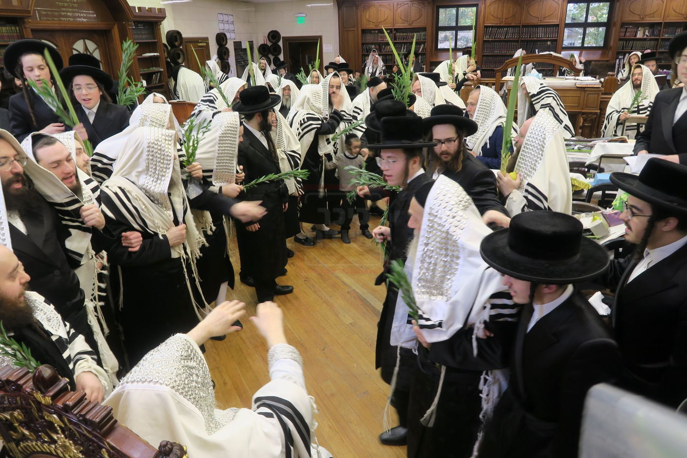 ירח האיתנים בחצה"ק ניקלשבורג