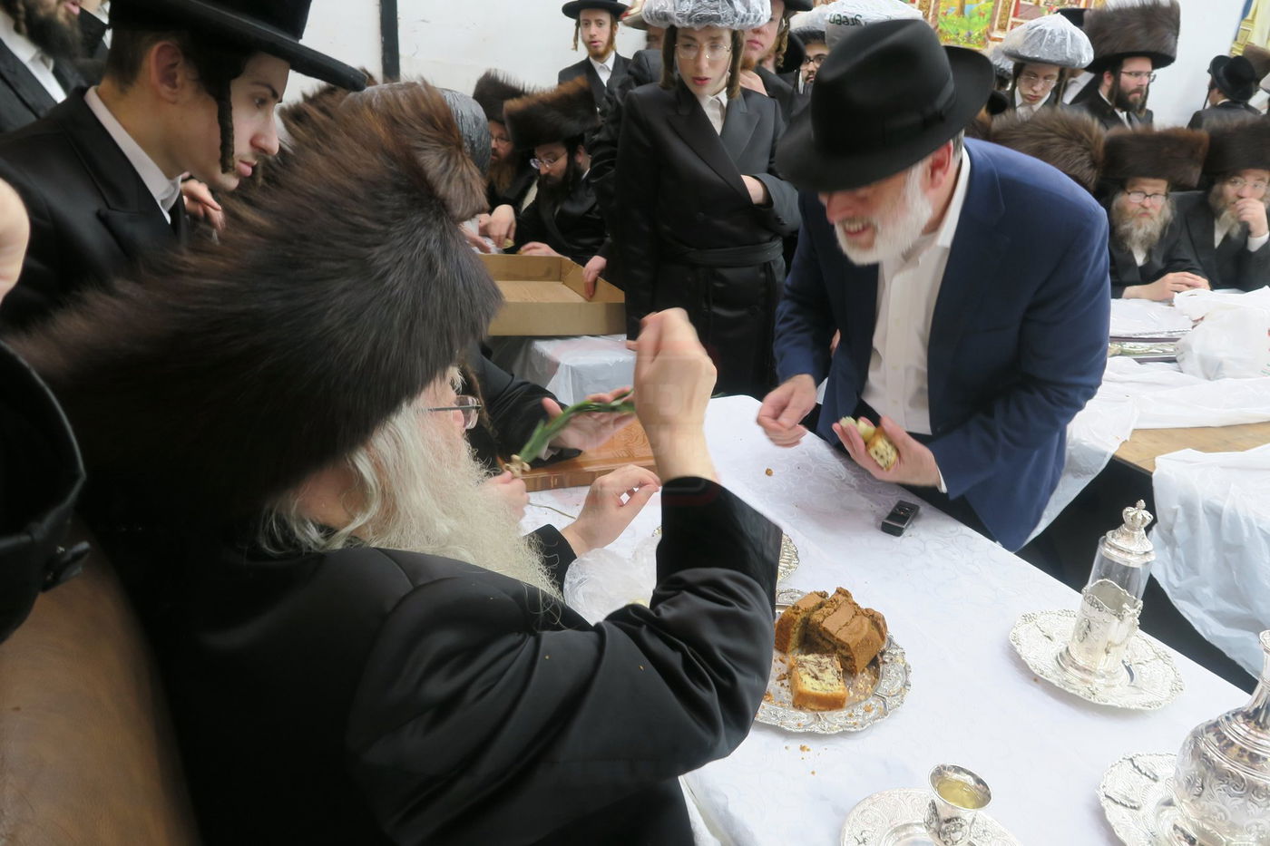 ירח האיתנים בחצה"ק ניקלשבורג