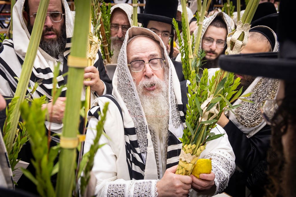 סוכות - הושענא רבה ומוצאי שמחת תורה בחצה"ק צאנז קלויזנבורג