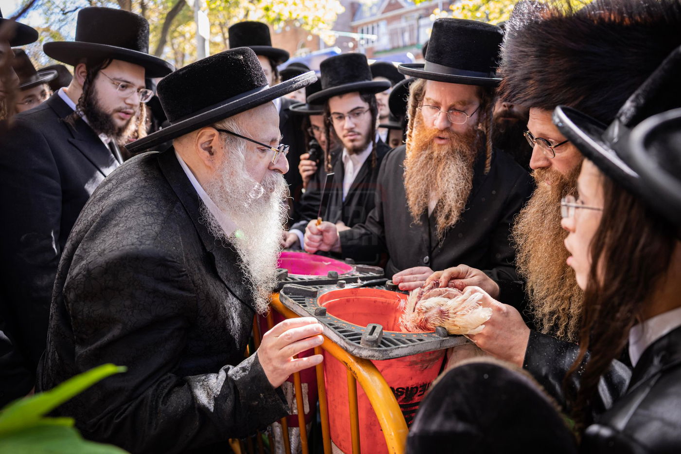 האדמו"ר מצאנז קלויזנבורג במנהג כפרות