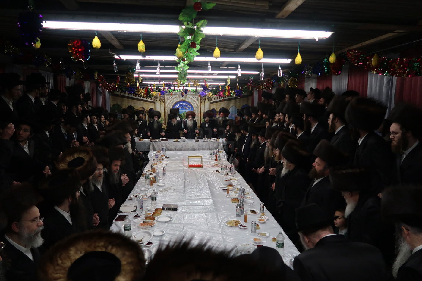 חג הסוכות ושמחת תורה בחצה"ק צאנז זוועהיל