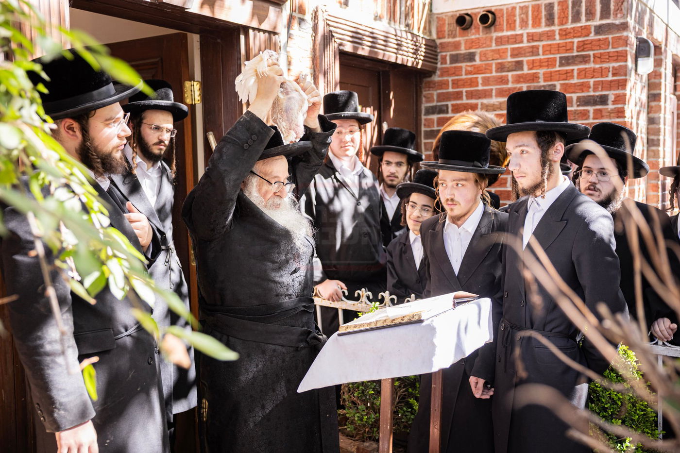 האדמו"ר מצאנז קלויזנבורג במנהג כפרות