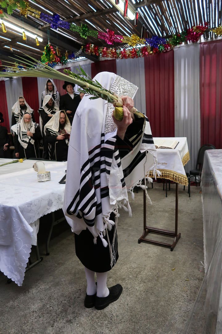 חג הסוכות ושמחת תורה בחצה"ק צאנז זוועהיל