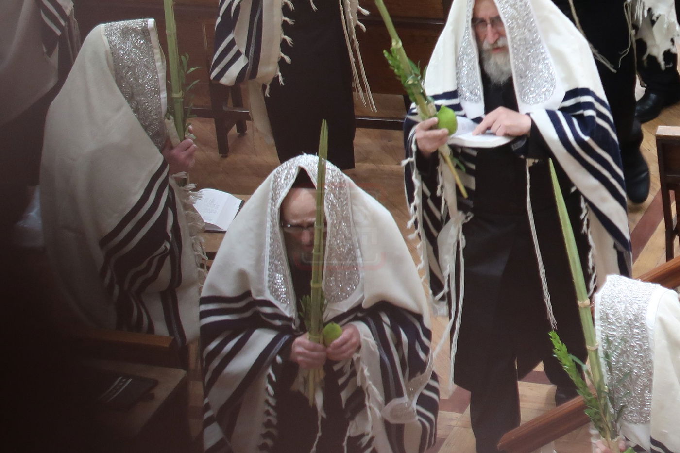 שמחת בית השואבה ונענועים בחצה''ק פאפא