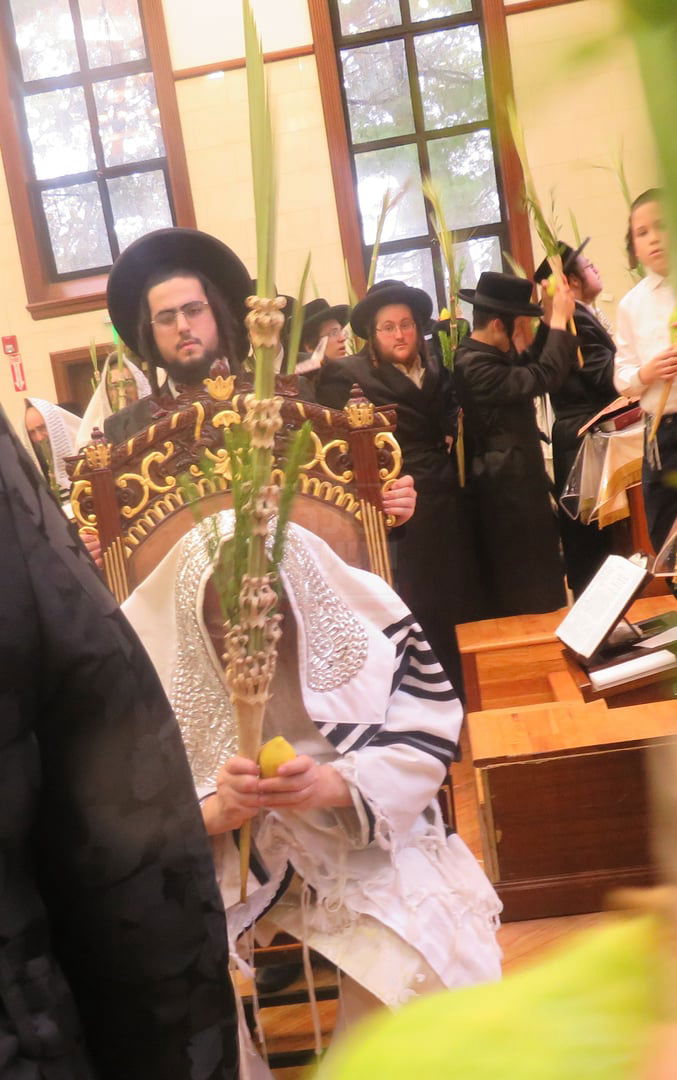 ירח האיתנים בחצה"ק ניקלשבורג