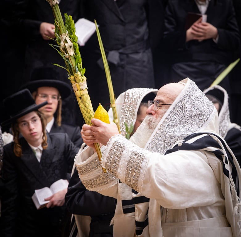 סוכות - הושענא רבה ומוצאי שמחת תורה בחצה"ק צאנז קלויזנבורג