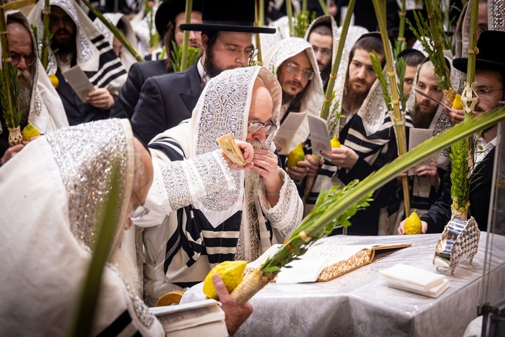 סוכות - הושענא רבה ומוצאי שמחת תורה בחצה"ק צאנז קלויזנבורג