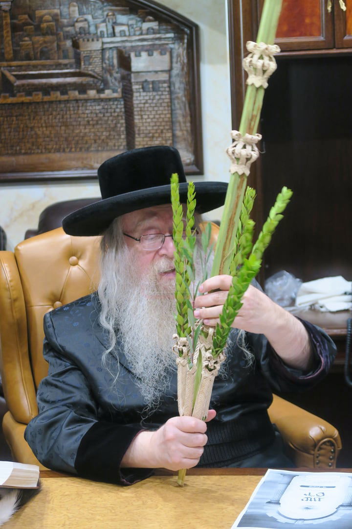 ירח האיתנים בחצה"ק ניקלשבורג