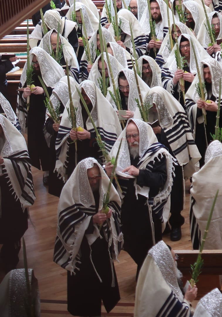 שמחת בית השואבה ונענועים בחצה''ק פאפא