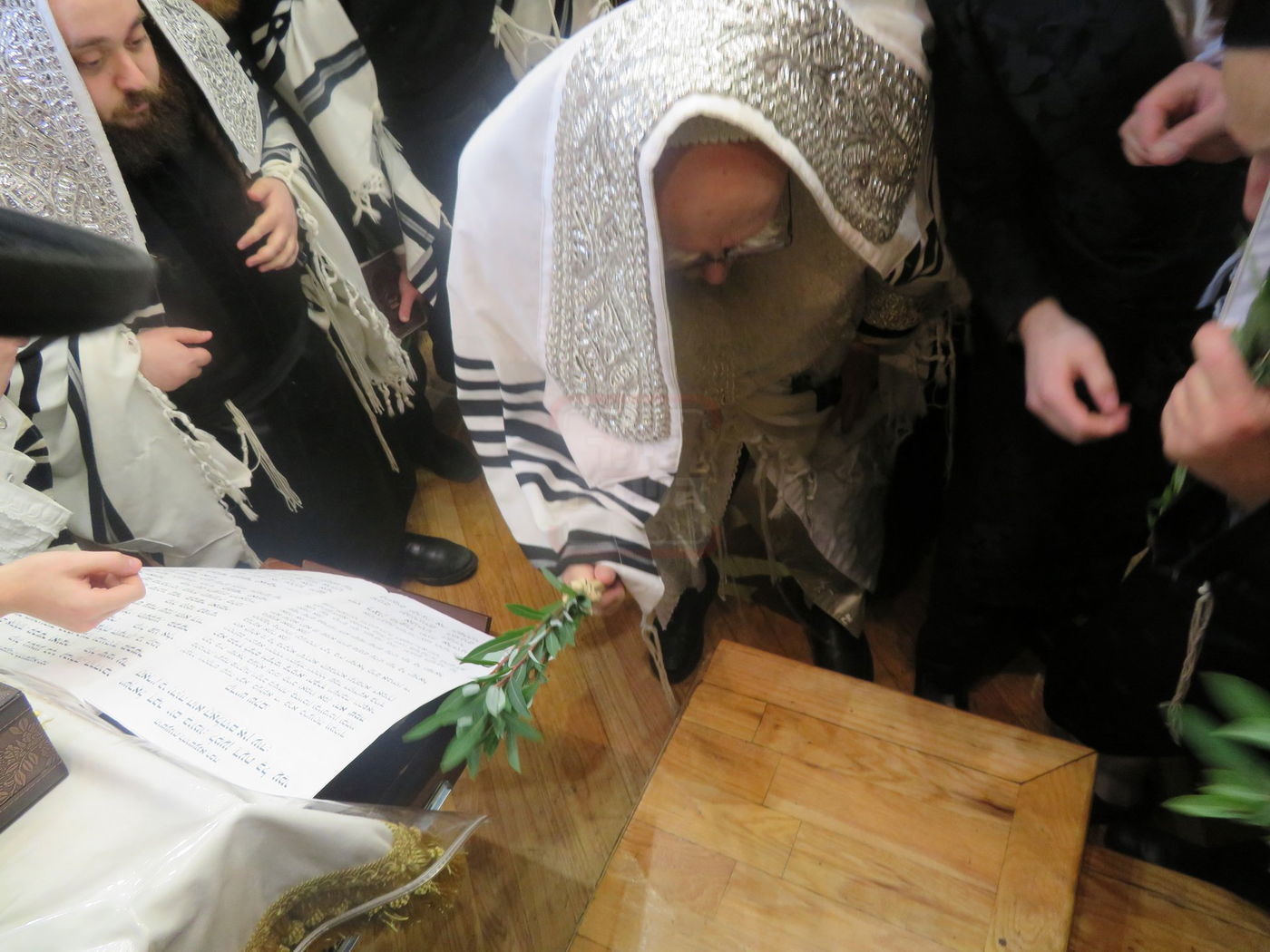 ירח האיתנים בחצה"ק ניקלשבורג