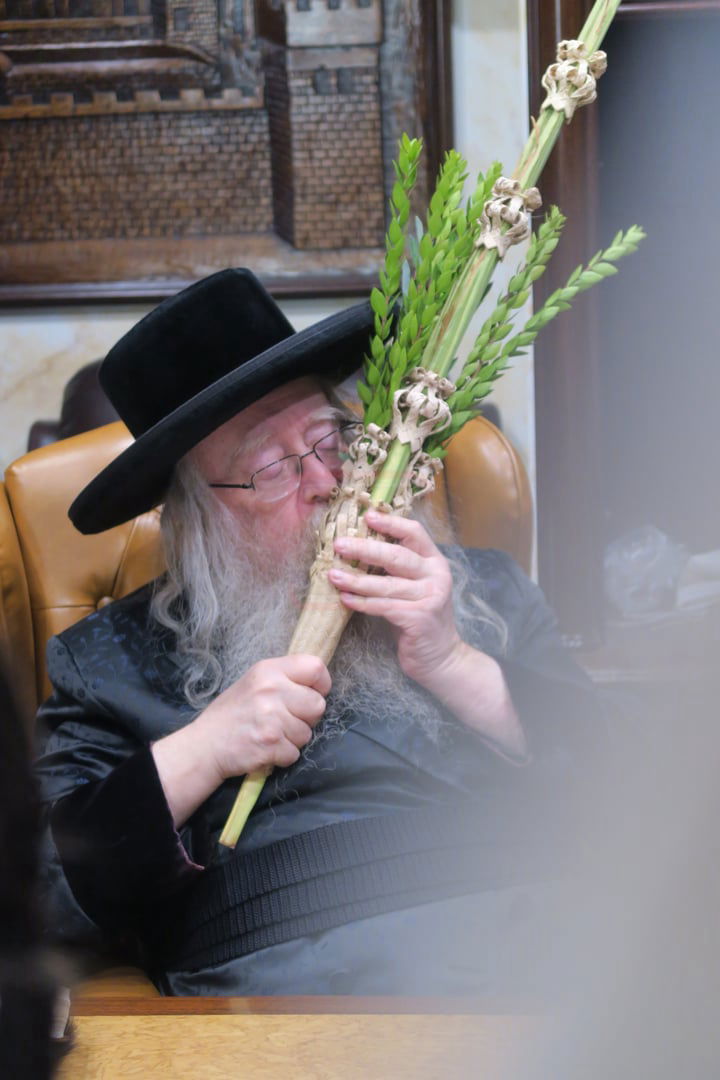 ירח האיתנים בחצה"ק ניקלשבורג