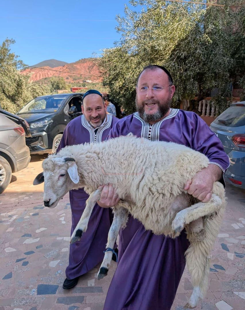 הנגיד שהתפלפל עם ראש הישיבה | 'זופניק בכיכר' עם כל התמונות, הנייעס והחשיפות של השבוע