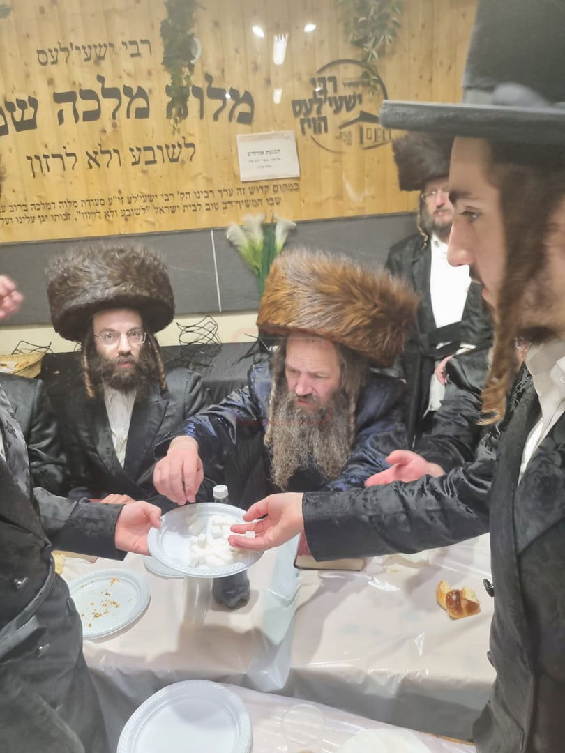 הגה"צ אב"ד קאלוב ביתר במסע הקודש להונגריה