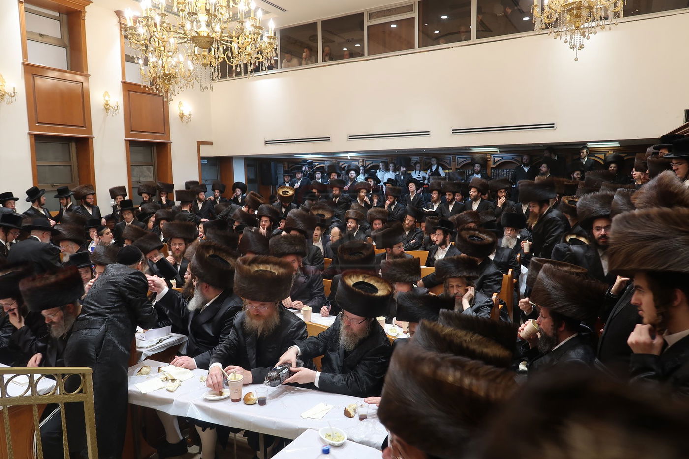 הרה"צ ר' אלימלך בידרמן, מוצ"ש בחיפה