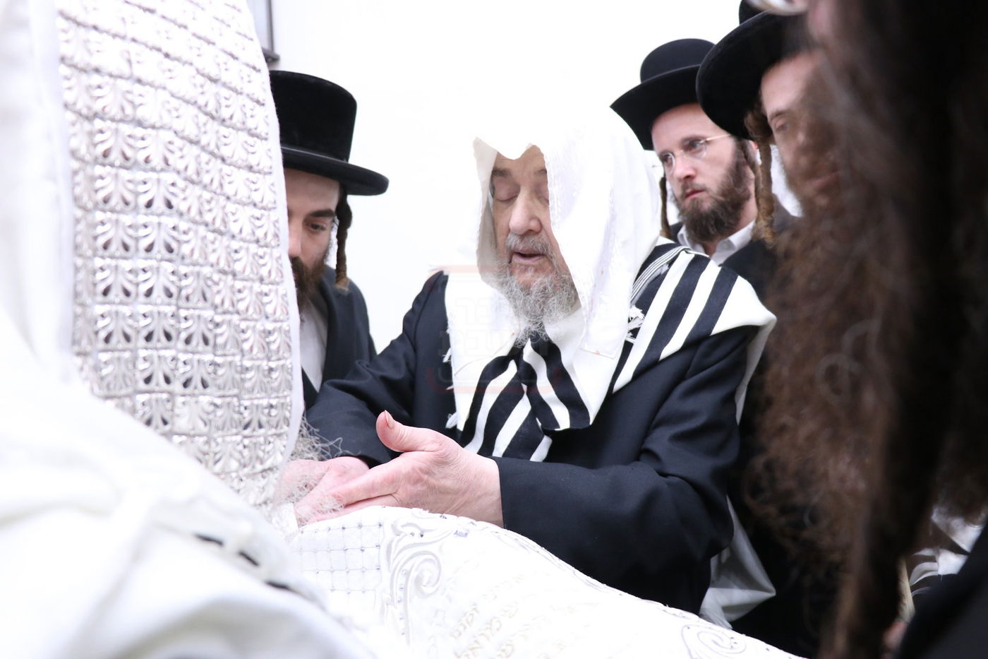 ברית בשמחת הברית בחצרות קוזמיר - ביאלה - קופיטשניץ - לעלוב בית שמש