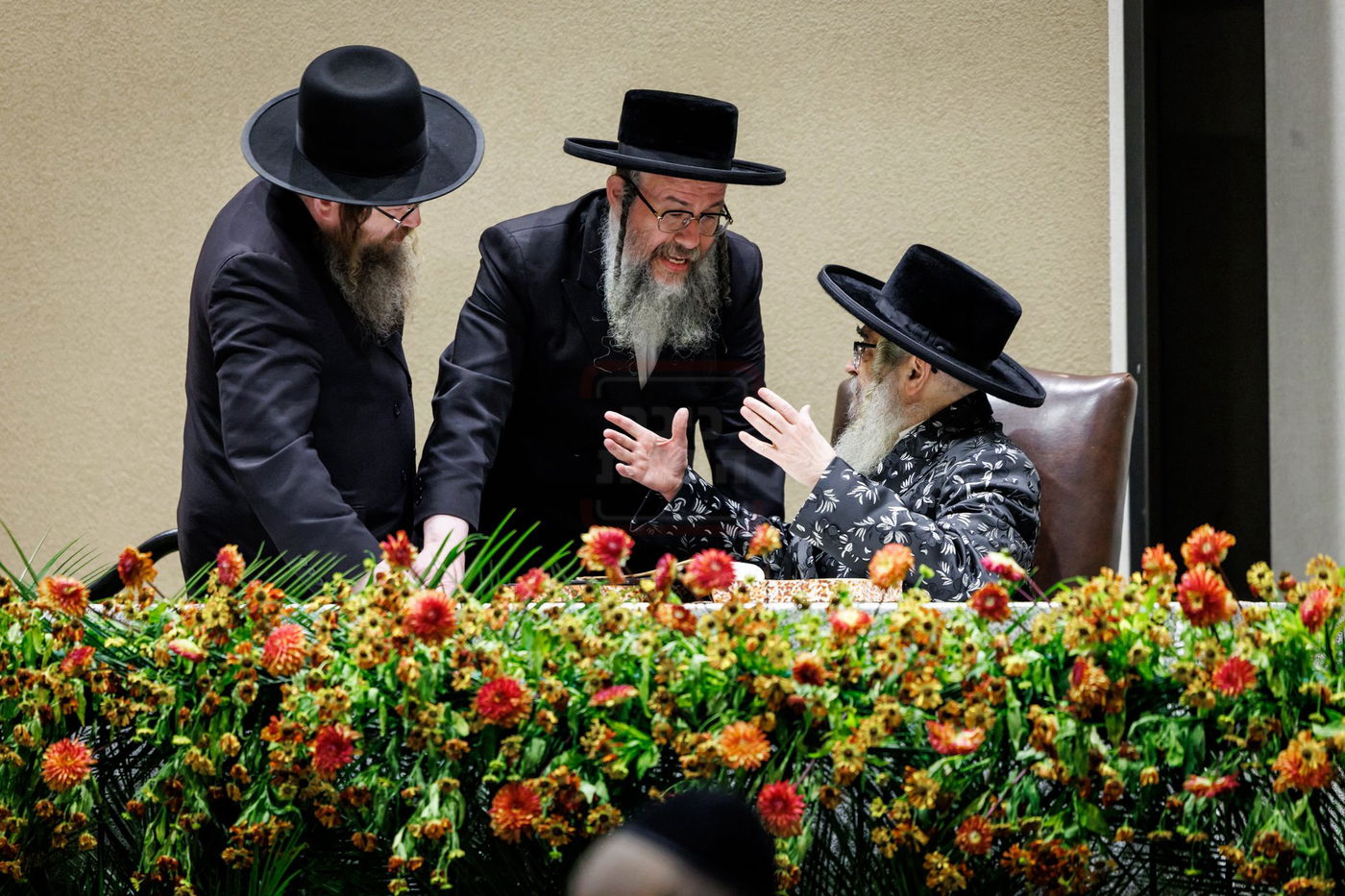 סיום חצי ש"ס בסאטמר