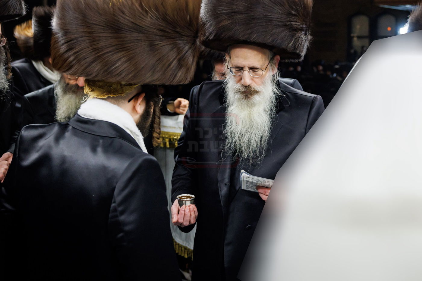 שמחת נישואי נכדת האדמו"ר מבאבוב 45