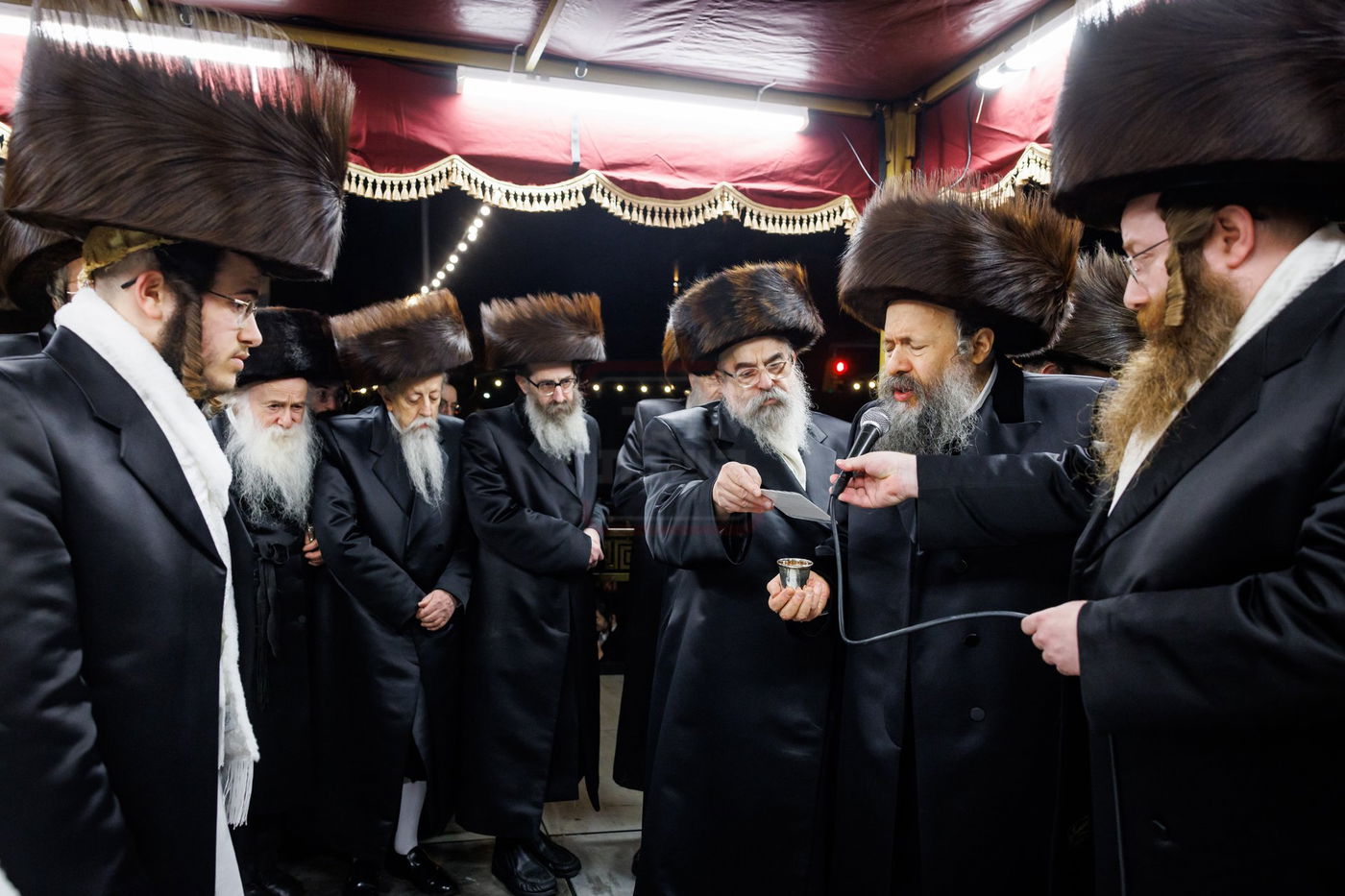 שמחת נישואי נכדת האדמו"ר מבאבוב 45