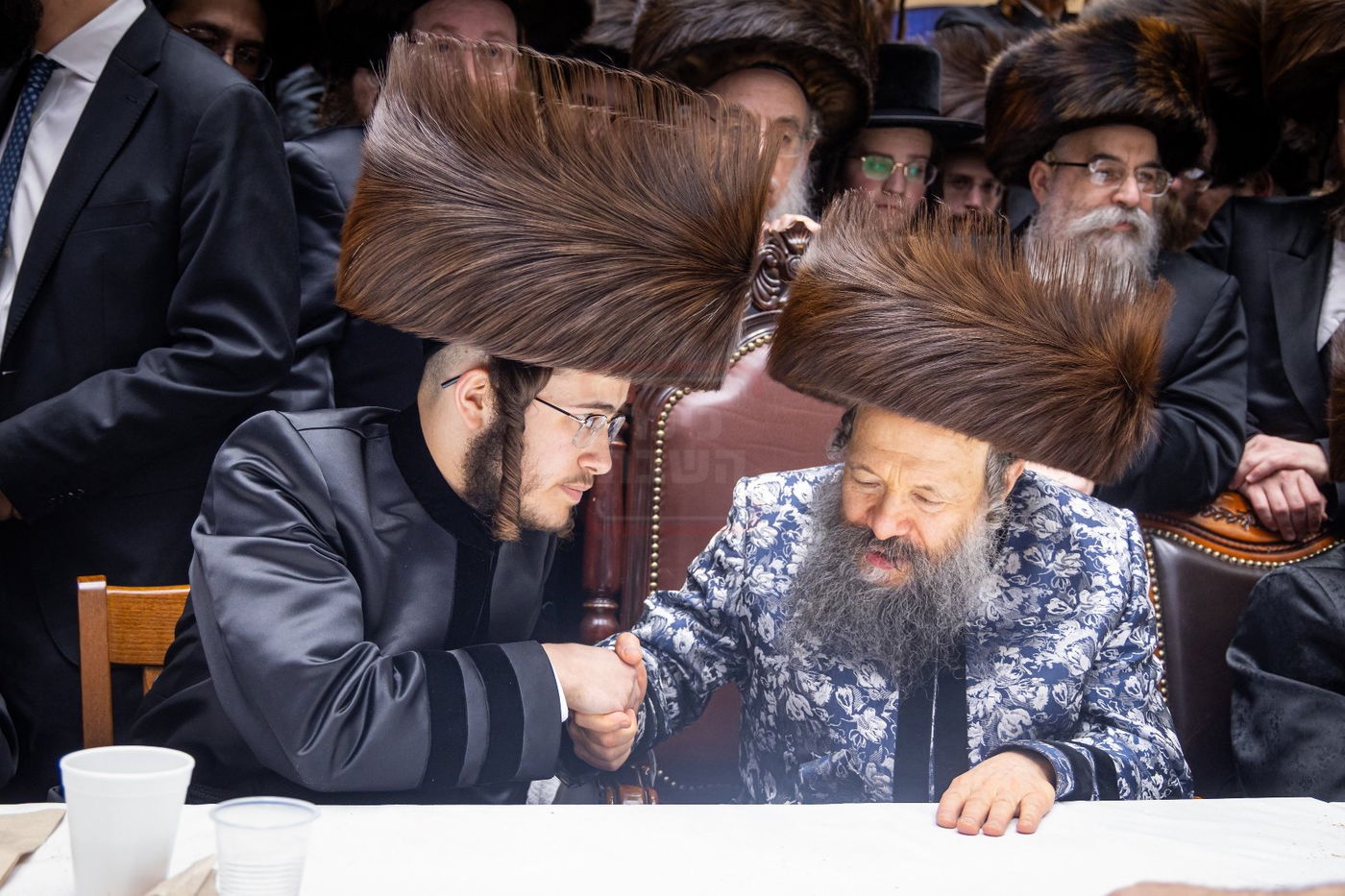 שמחת נישואי נכדת האדמו"ר מבאבוב 45