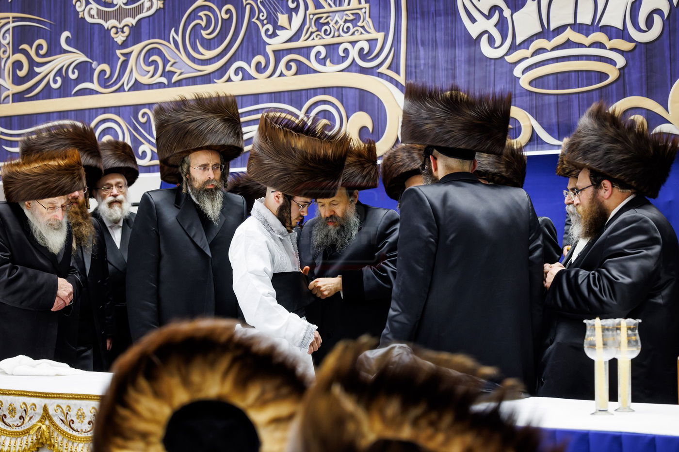 שמחת נישואי נכדת האדמו"ר מבאבוב 45