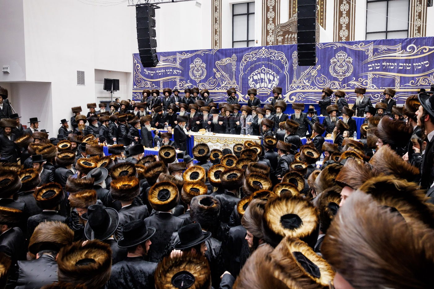 שמחת נישואי נכדת האדמו"ר מבאבוב 45