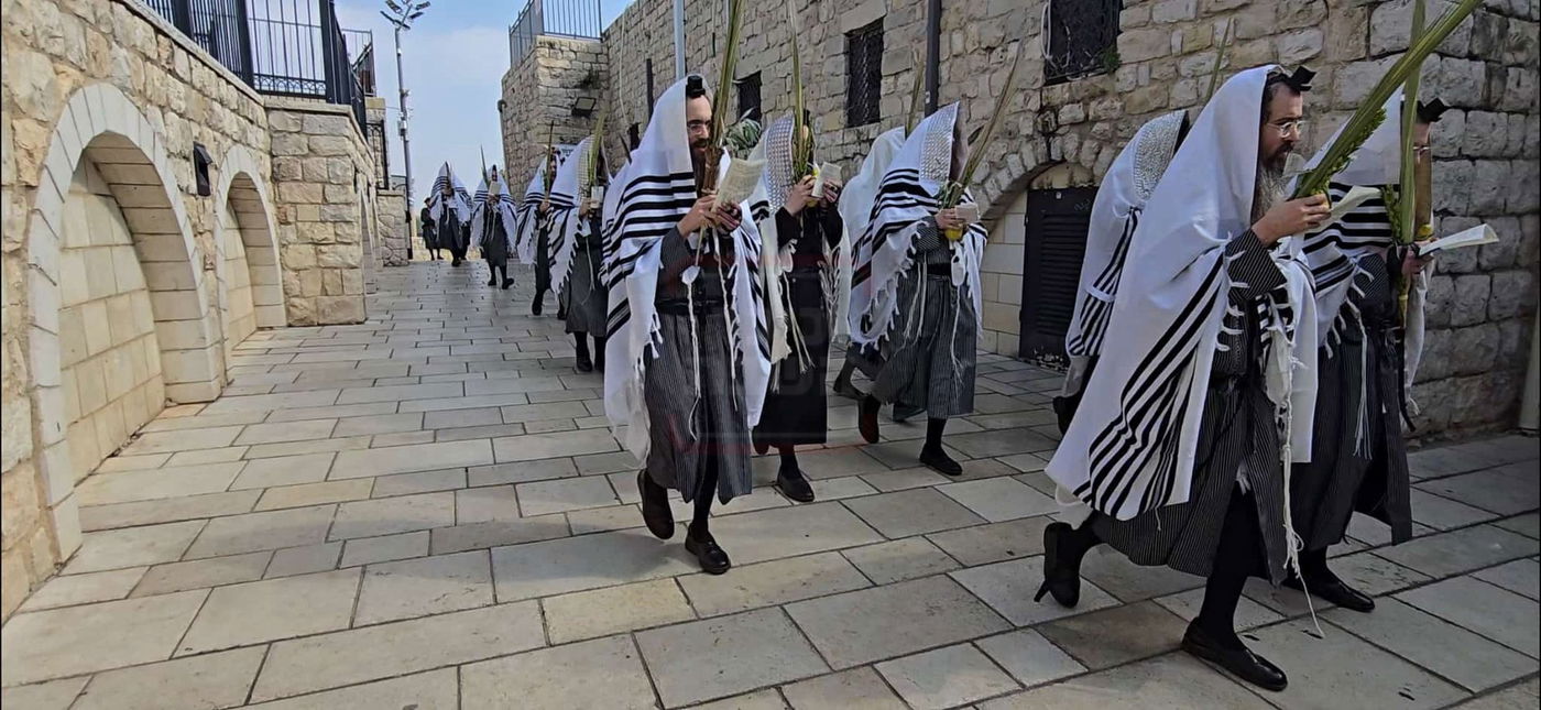 חסידי תולדות אברהם יצחק עם ארבעת המינים במירון