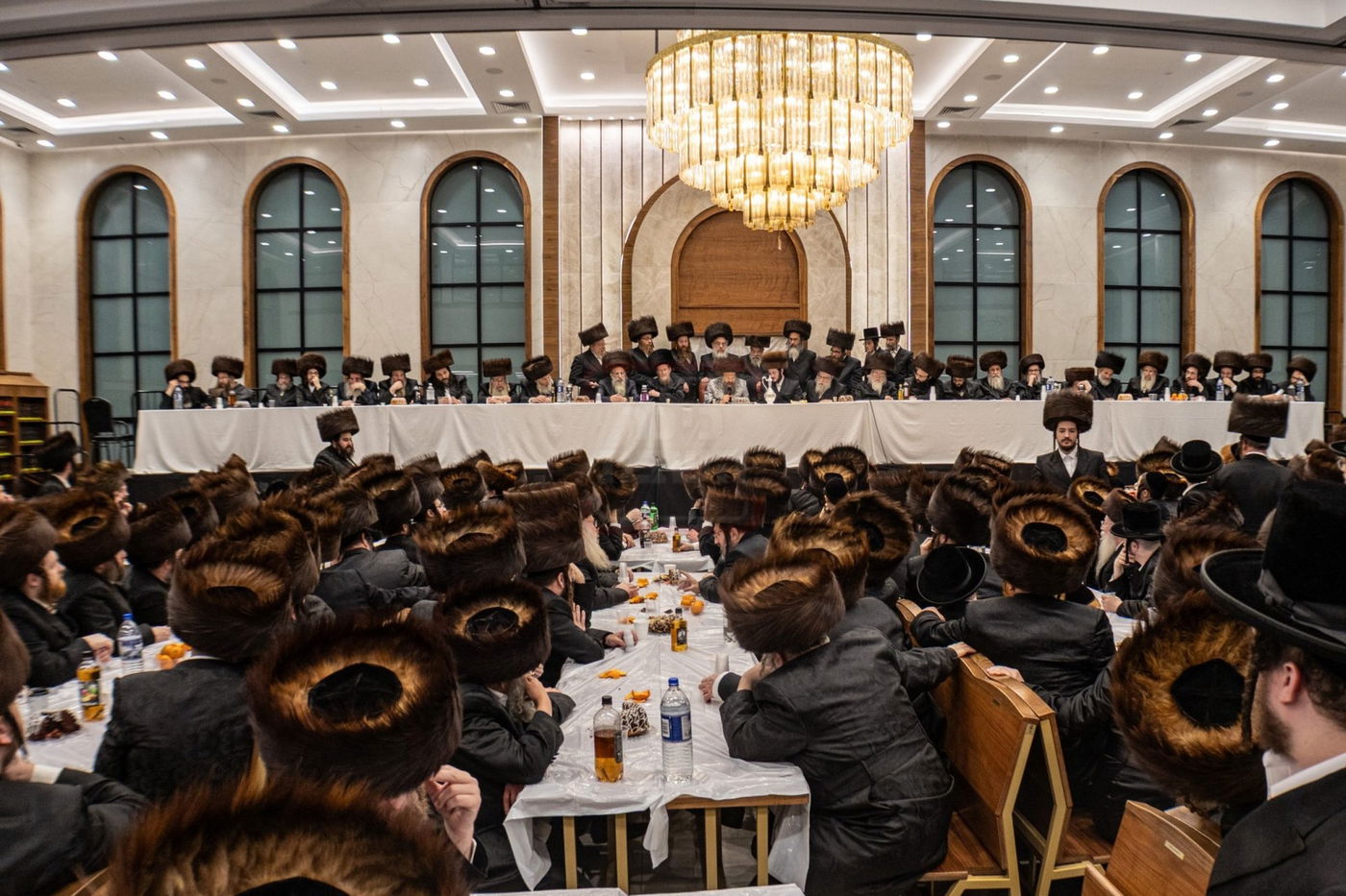 שמחת הווארט והתנאים לנכד האדמו"ר מבאבוב 45