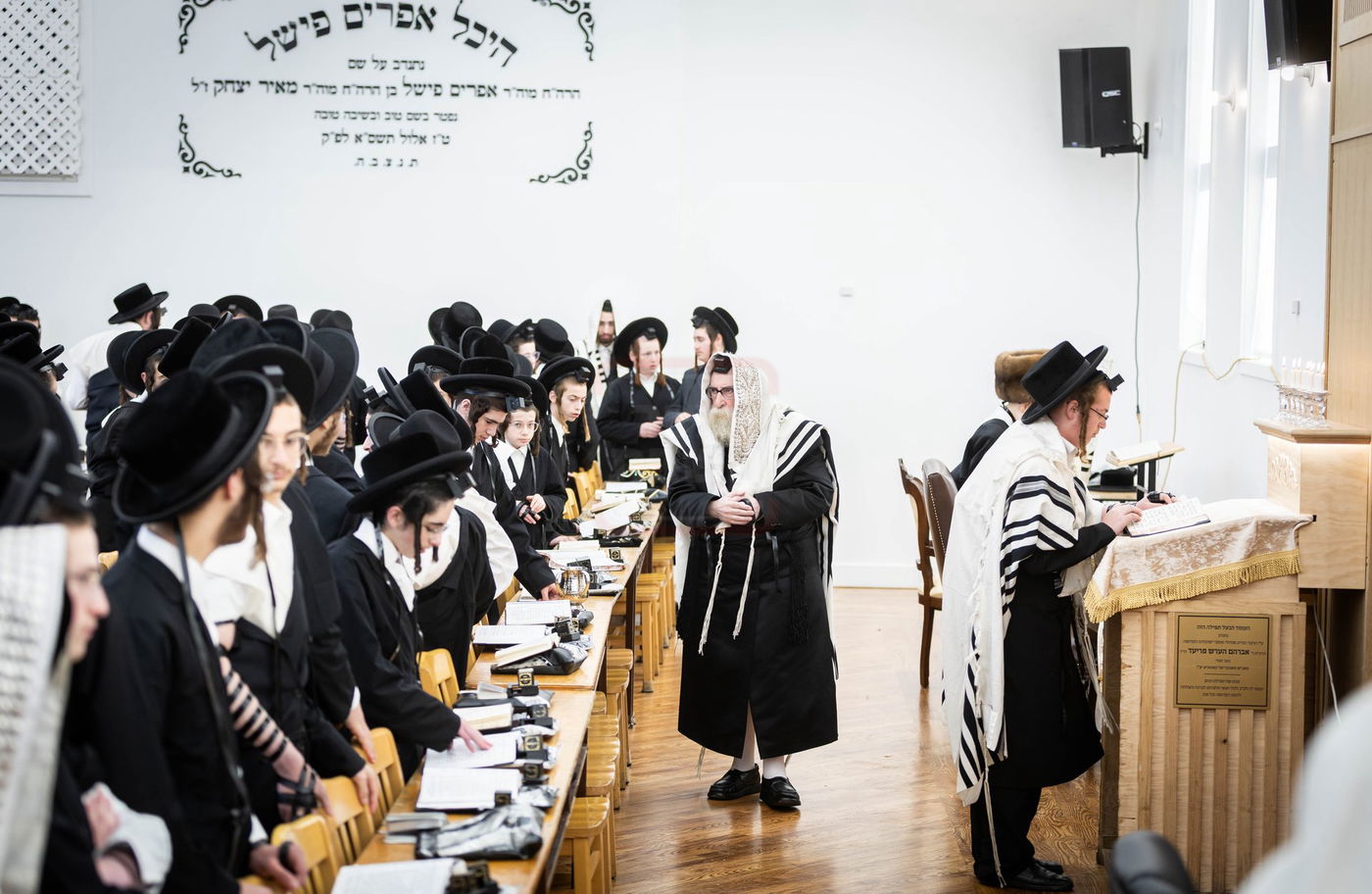 האדמו"ר מתולדות צבי דספינקא בתפילת שחרית