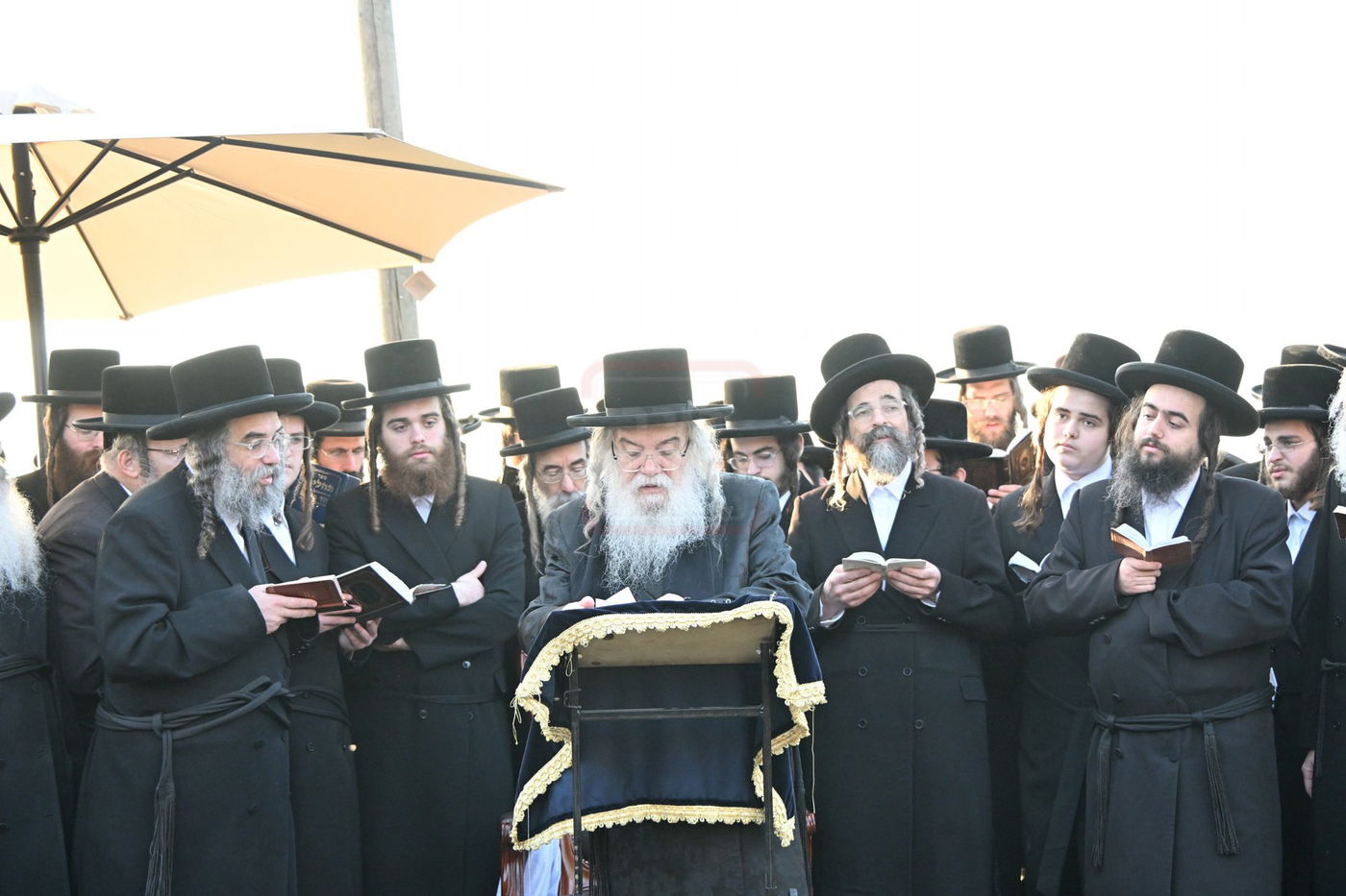 האדמו"ר מדארג בתפילה בציון הק' בדארג