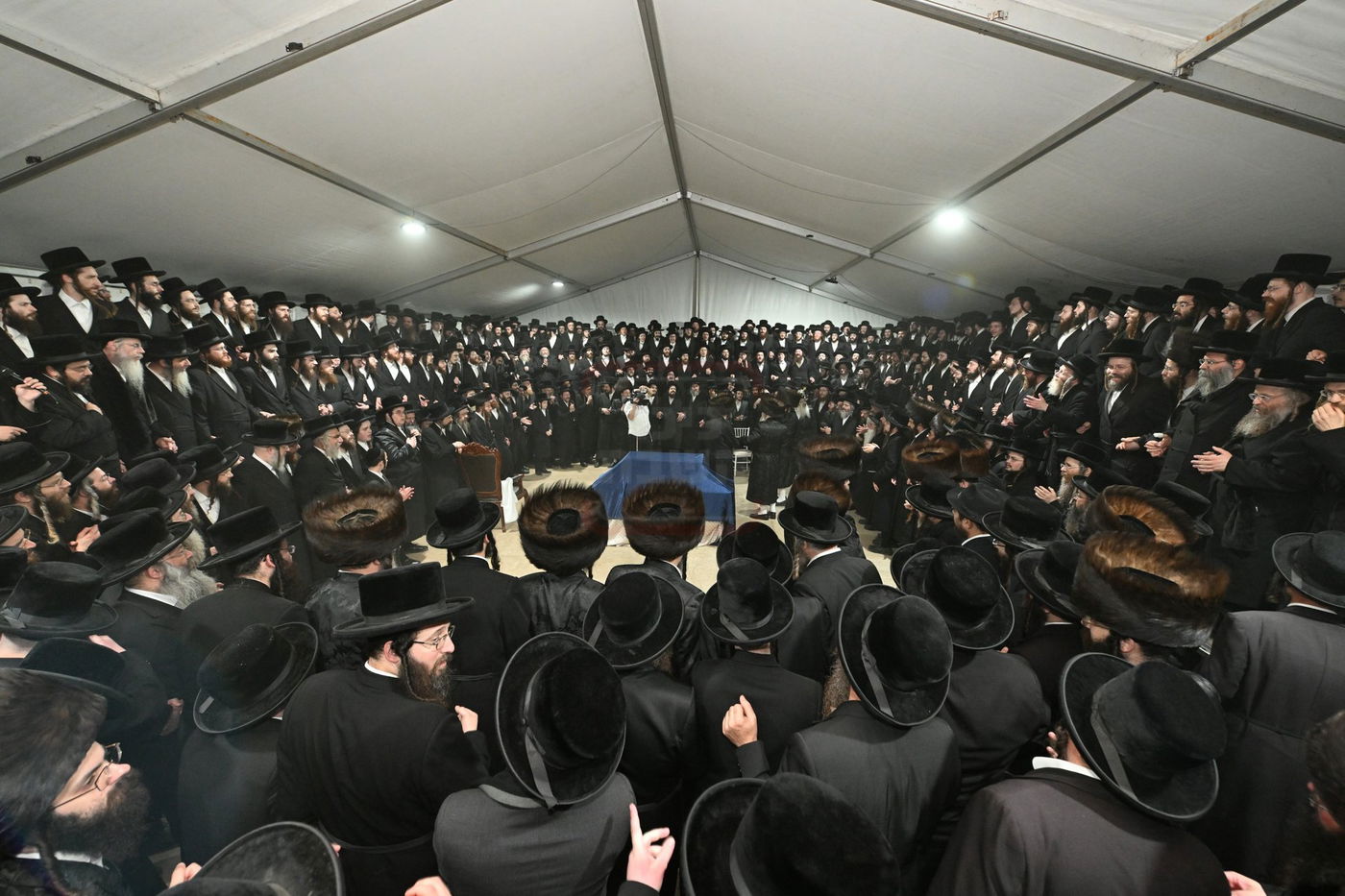 מעמד הכנסת ספר תורה בעיירת דארג