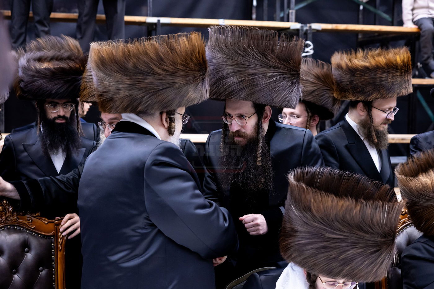 שמחת בית קראלי - ברעזשאן - אולם - זאליזשא - זלאטשוב