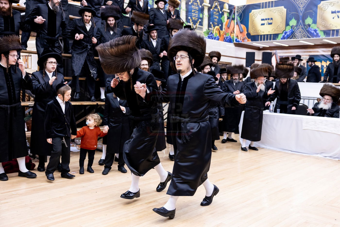 שמחת בית קראלי - ברעזשאן - אולם - זאליזשא - זלאטשוב