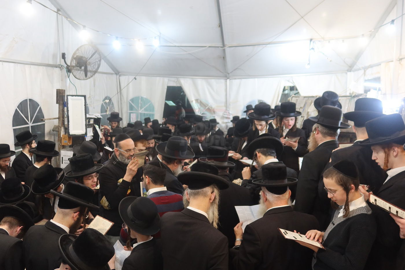 האדמו"ר מזוועהיל בתפילה בציון הק' בבית הקברות שייח באדר