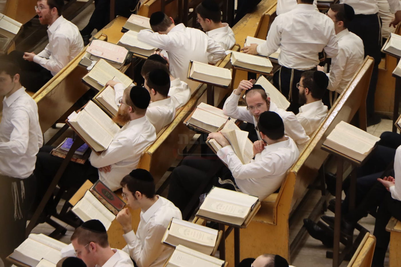 גבעת פוניבז' ביום קבלת הפסק הדרמטי