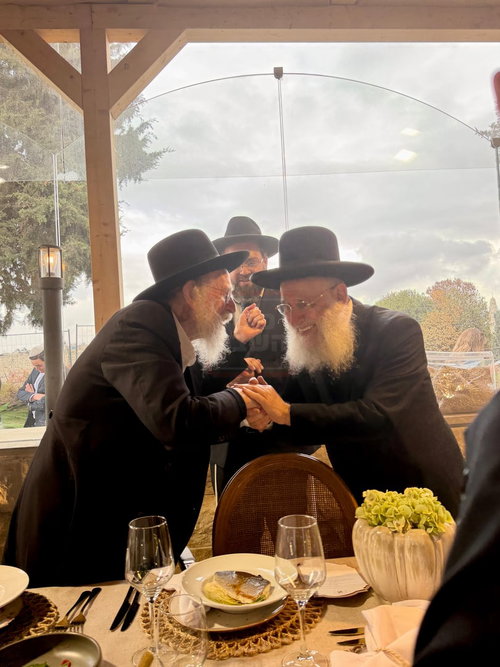 חור קטן במכנסיו של הפרשן | 'זופניק בכיכר' עם כל התמונות, הנייעס והחשיפות של השבוע