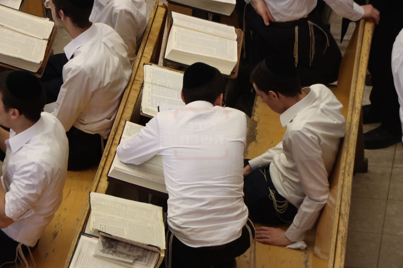 גבעת פוניבז' ביום קבלת הפסק הדרמטי