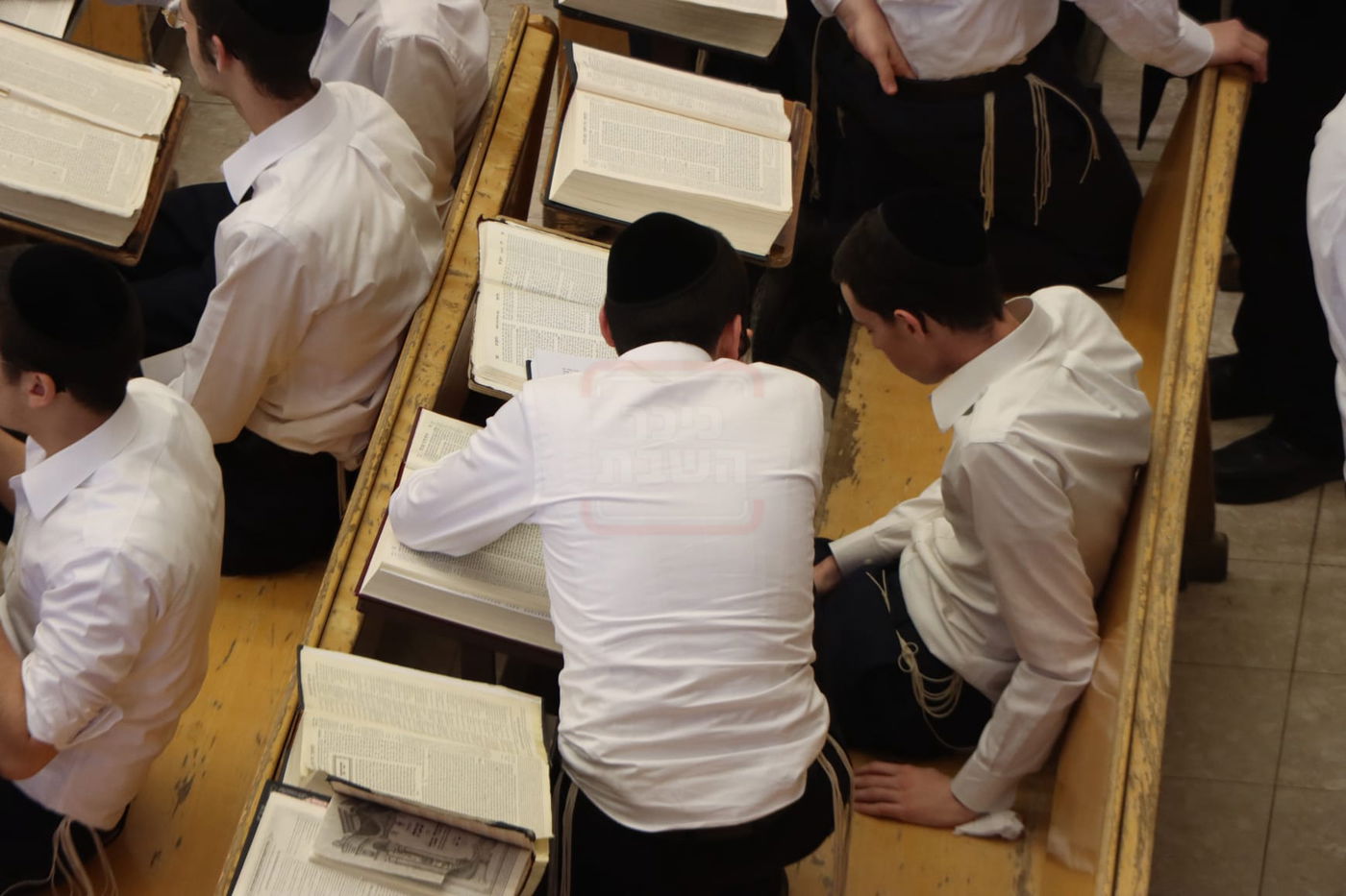 גבעת פוניבז' ביום קבלת הפסק הדרמטי