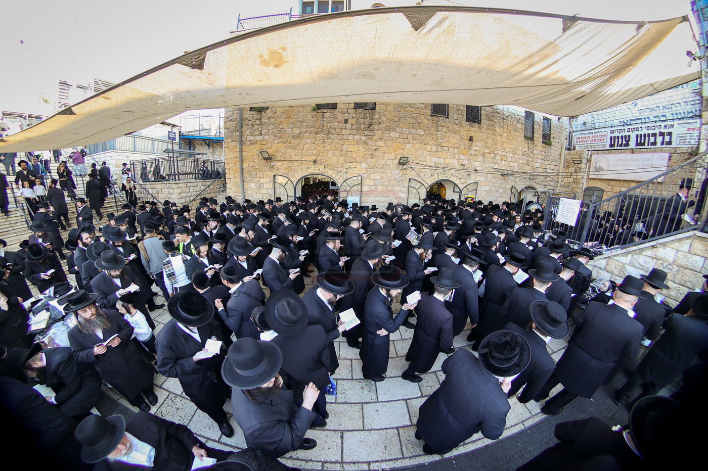 האדמו"ר מסאטמר באמירת תהילים במירון