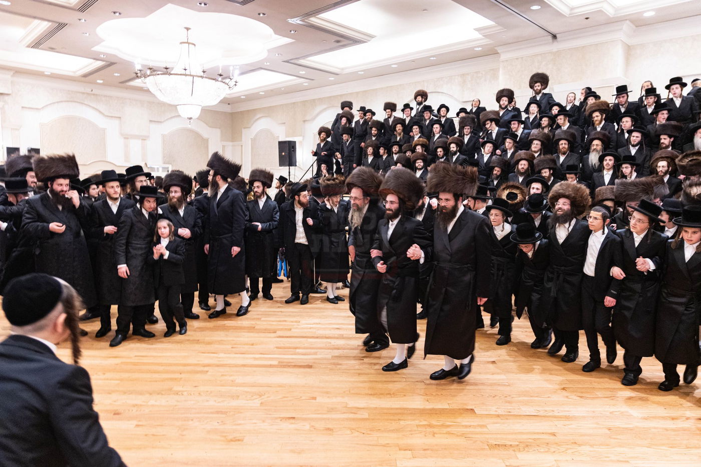 שמחת בית סערדאהעלי - תולדות יהודה סטוטשין