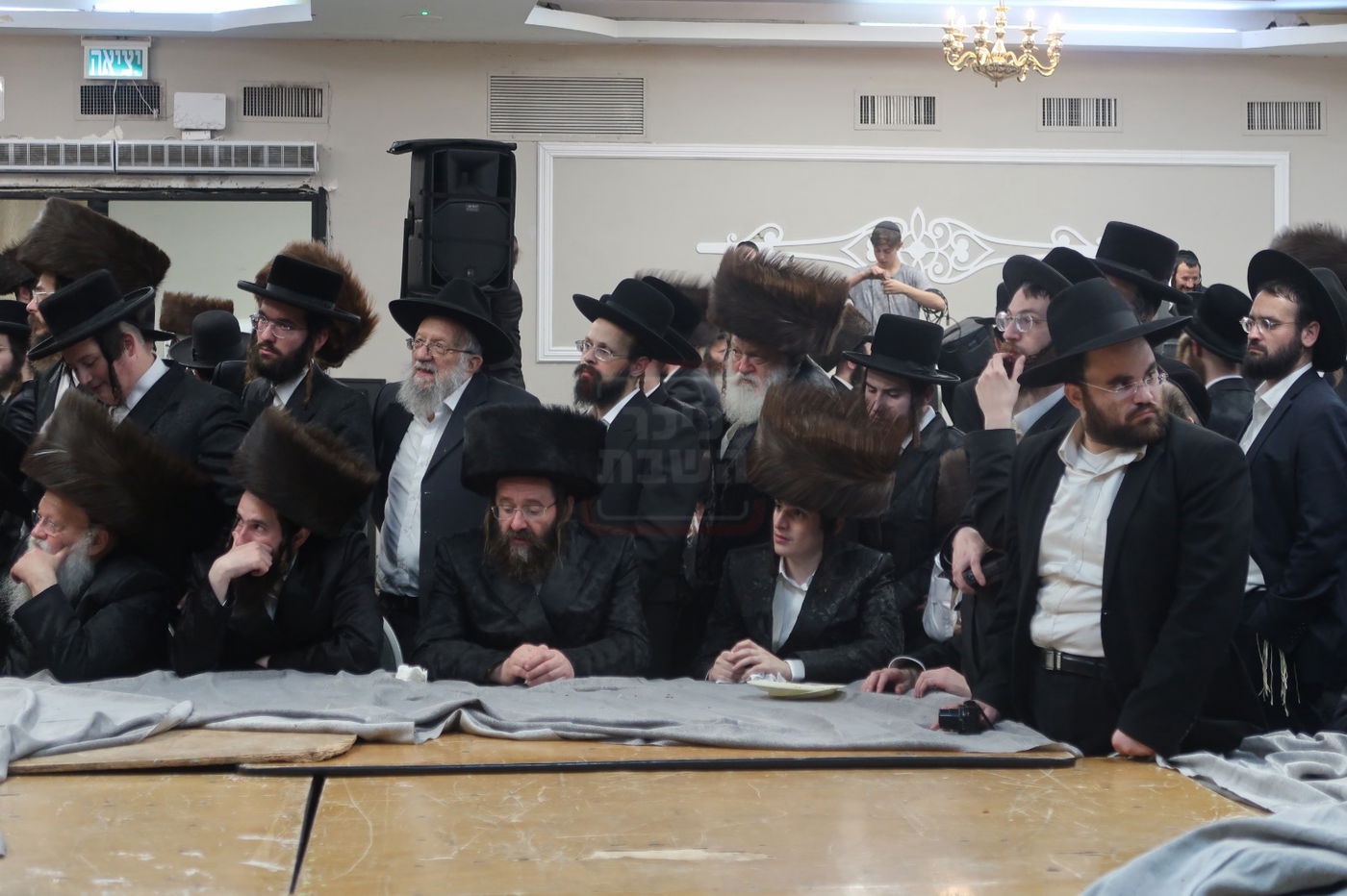 האדמו"ר שניסה לרקוד עם בנו | 'זופניק בכיכר' עם כל התמונות, הנייעס והחשיפות של השבוע