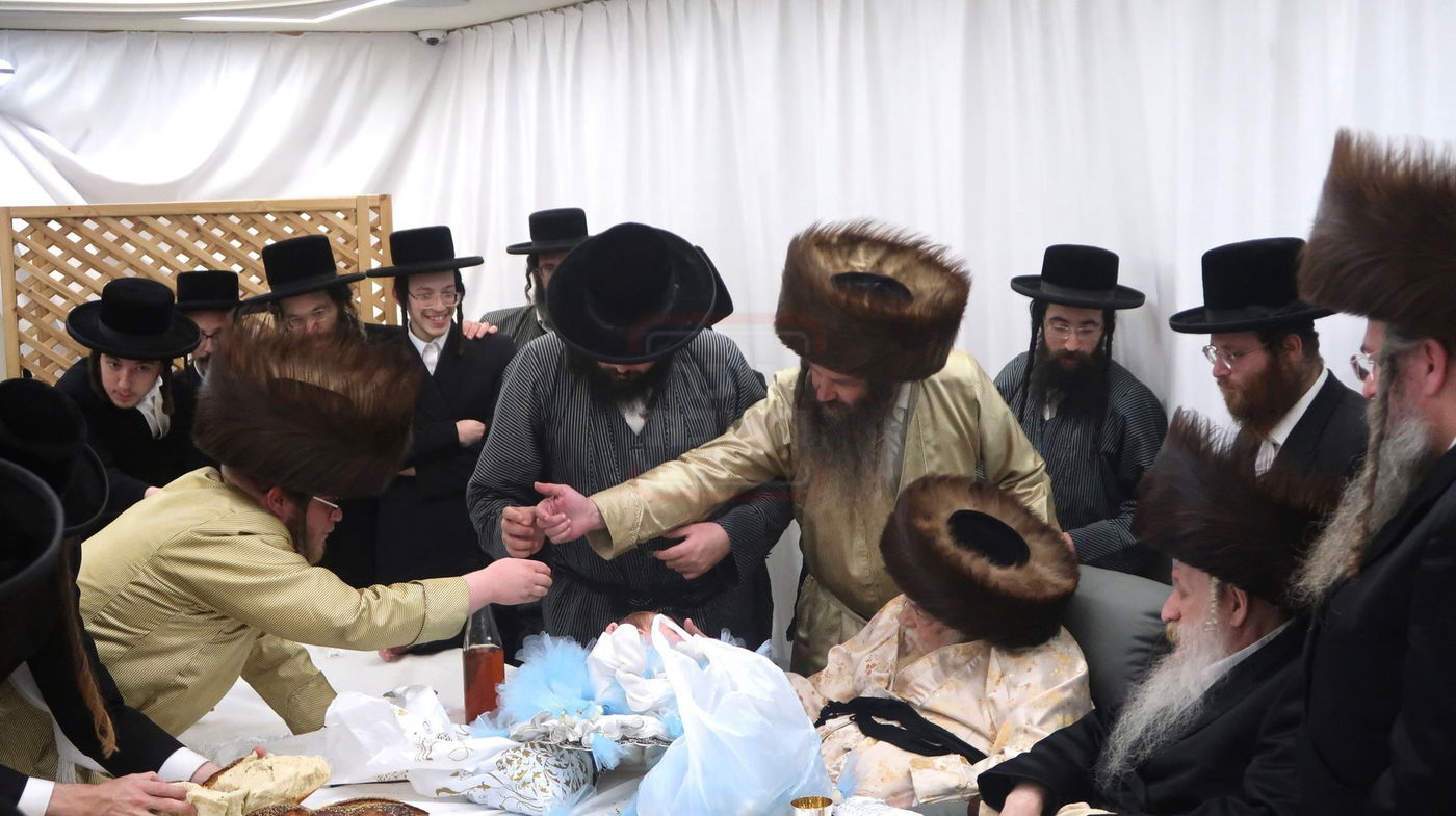 שמחת פדיון הבן בחצרות תולדות אברהם יצחק - טשארנאביל - קאלוב